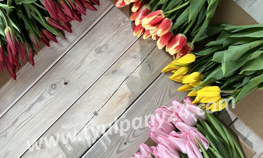 Открыт прием предзаказов на тюльпаны к 8 марта 2026г!